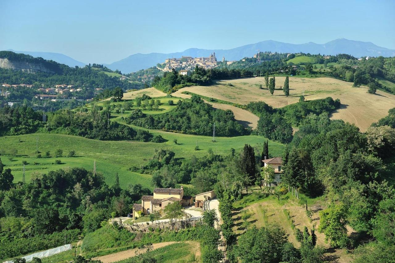 Country House Ca' Vernaccia Casa de hóspedes Urbino Exterior foto