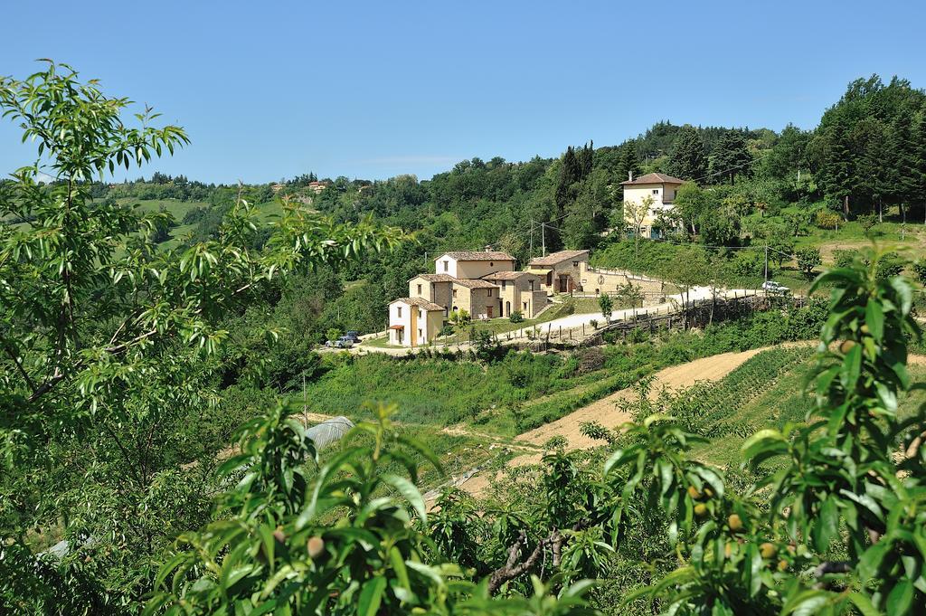 Country House Ca' Vernaccia Casa de hóspedes Urbino Exterior foto